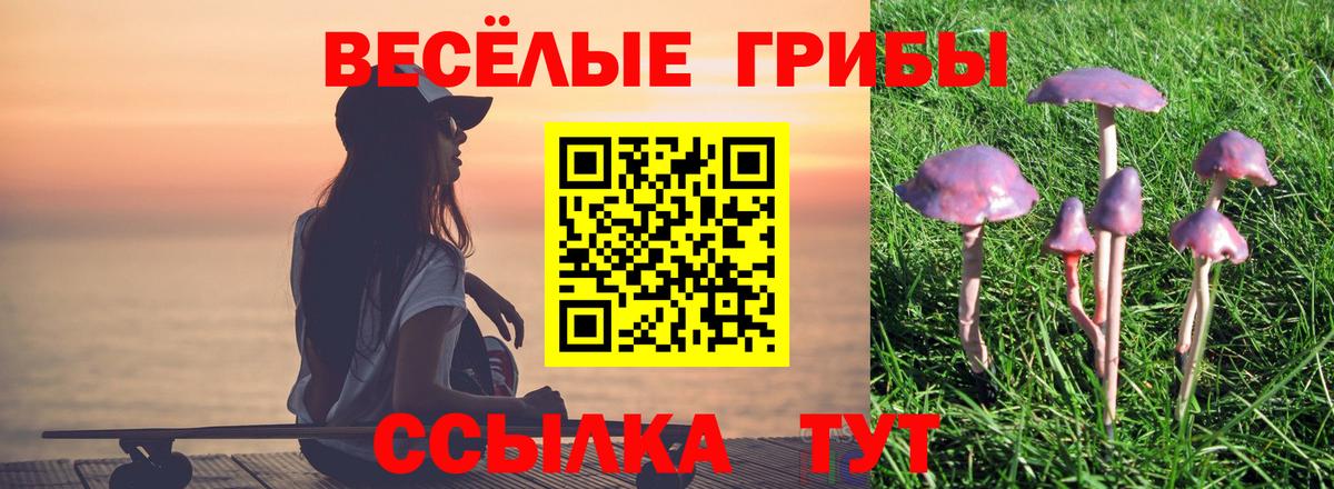 Псилоцибиновые грибы Magic Shrooms Протвино