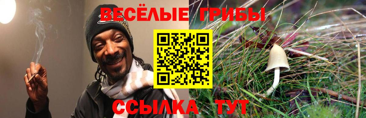 Галлюциногенные грибы Magic Shrooms  Вход с VPN  Псилоцибиновые грибы мицелий  что такое наркотик  Протвино 